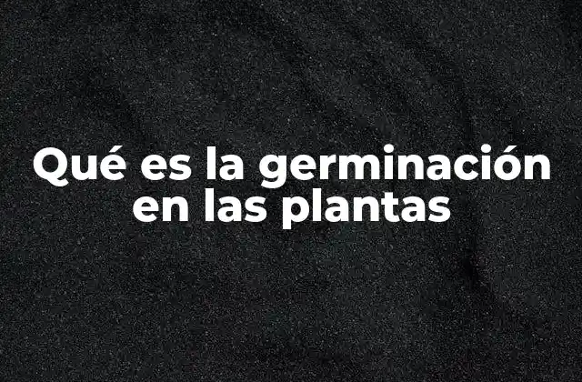 Qué es la Germinación en las Plantas