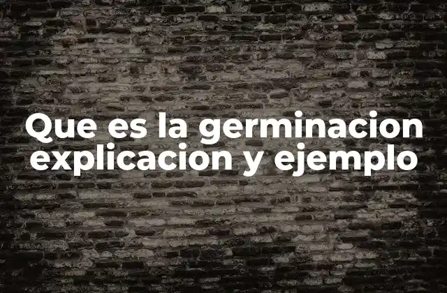 Que es la Germinacion Explicacion y Ejemplo