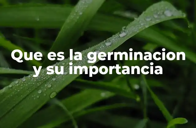 Que es la Germinacion y Su Importancia