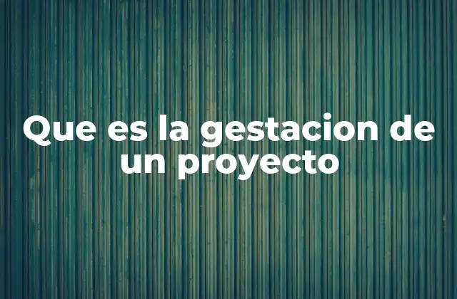 Que es la Gestacion de un Proyecto
