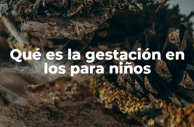 Qué es la Gestación en los para Niños