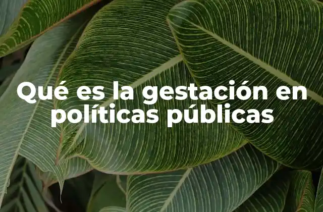 Qué es la Gestación en Políticas Públicas