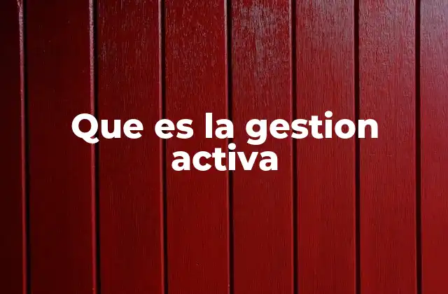 Que es la Gestion Activa