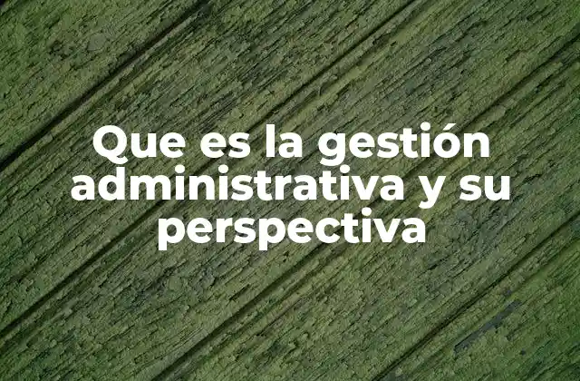 Que es la Gestión Administrativa y Su Perspectiva
