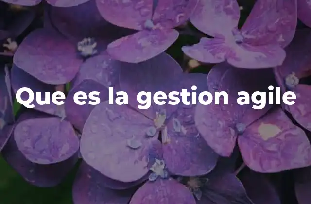 Que es la Gestion Agile