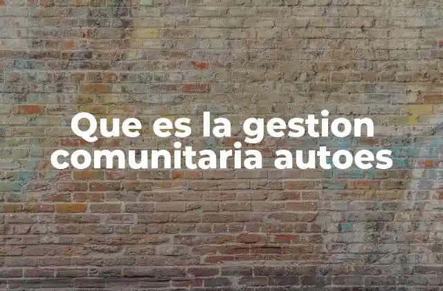 Que es la Gestion Comunitaria Autoes