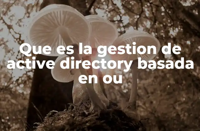 Que es la Gestion de Active Directory Basada en Ou