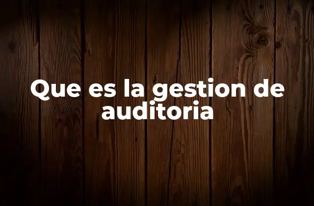 Que es la Gestion de Auditoria