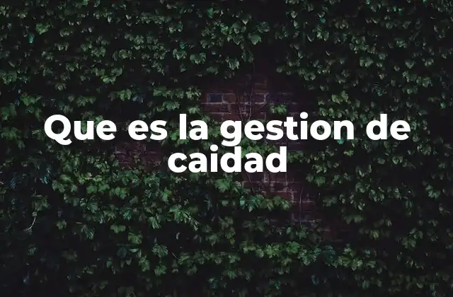 Que es la Gestion de Caidad