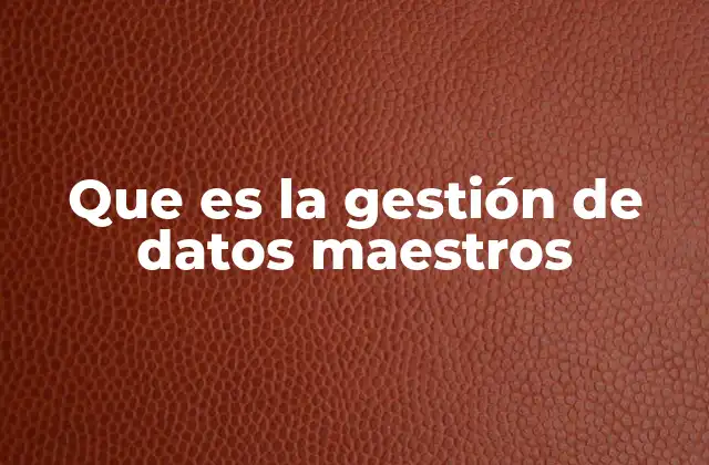 Que es la Gestión de Datos Maestros