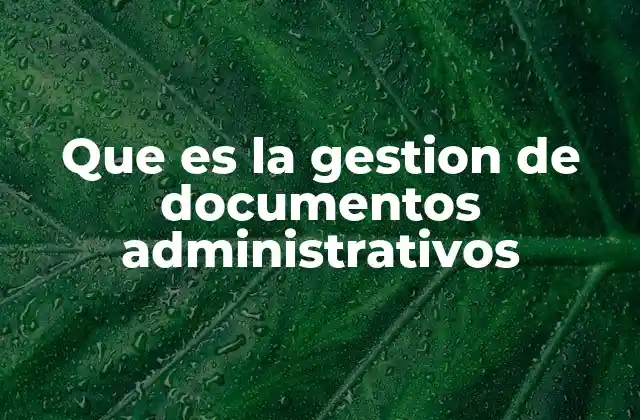 La importancia de un buen manejo de los archivos oficiales
