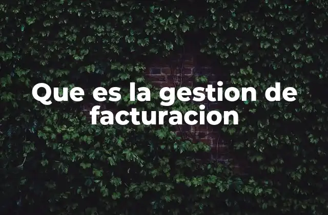 Que es la Gestion de Facturacion