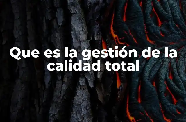 Que es la Gestión de la Calidad Total