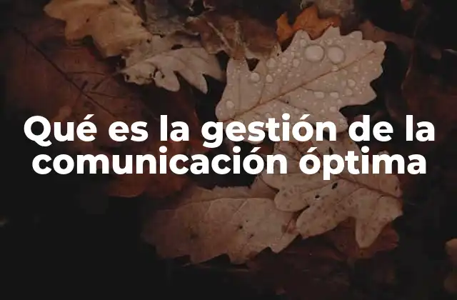 Qué es la Gestión de la Comunicación Óptima