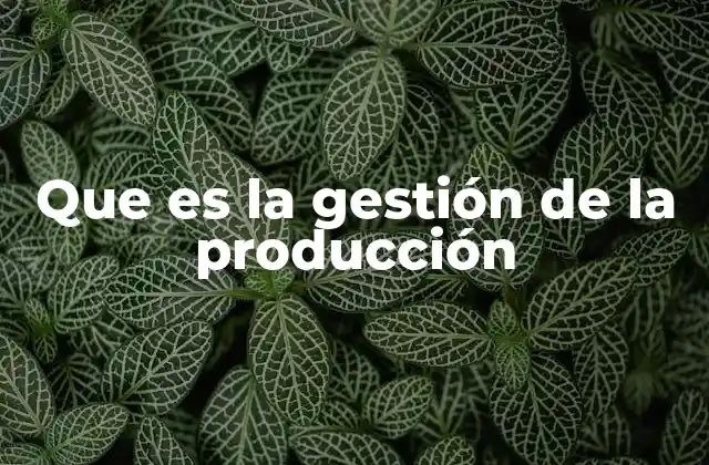 Que es la Gestión de la Producción