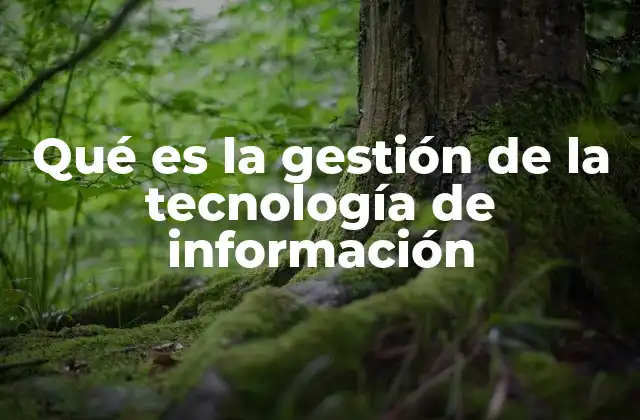 Qué es la Gestión de la Tecnología de Información 2 Cómo la tecnología de información apoya a las organizaciones