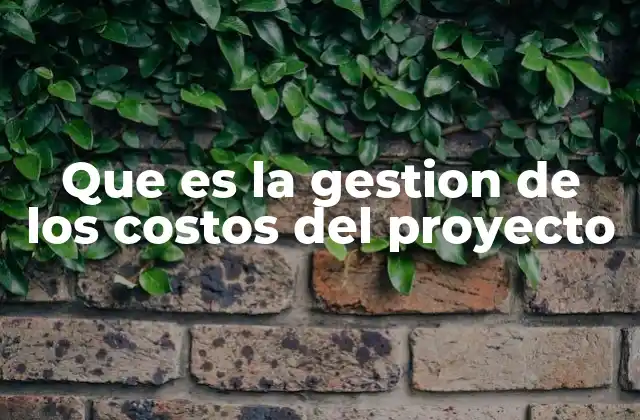 Que es la Gestion de los Costos Del Proyecto