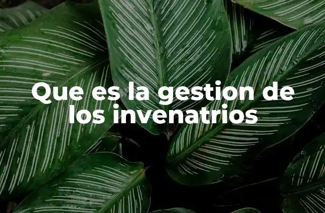 Que es la Gestion de los Invenatrios