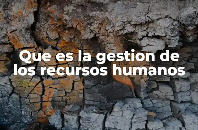 Que es la Gestion de los Recursos Humanos 2 La importancia del talento en la evolución empresarial