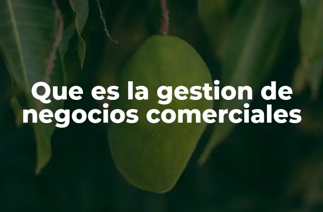 Que es la Gestion de Negocios Comerciales