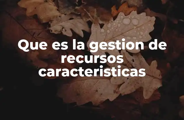 Que es la Gestion de Recursos Caracteristicas