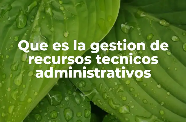 Que es la Gestion de Recursos Tecnicos Administrativos