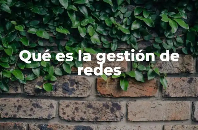 Qué es la Gestión de Redes