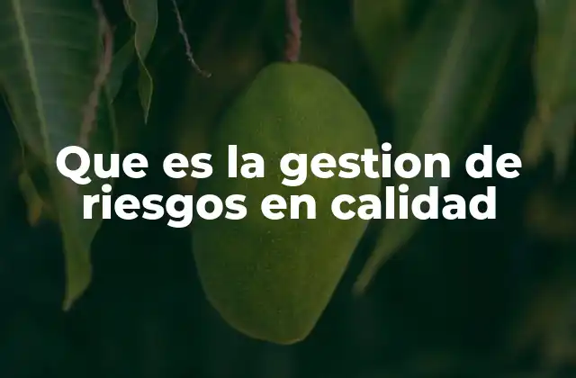 Que es la Gestion de Riesgos en Calidad
