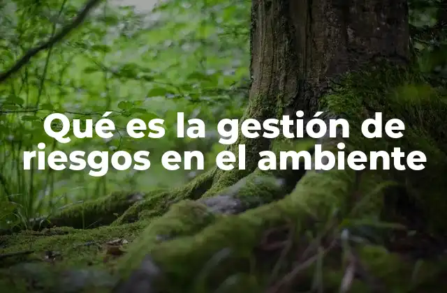 Qué es la Gestión de Riesgos en el Ambiente