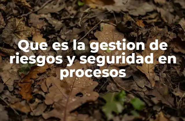 Que es la Gestion de Riesgos y Seguridad en Procesos