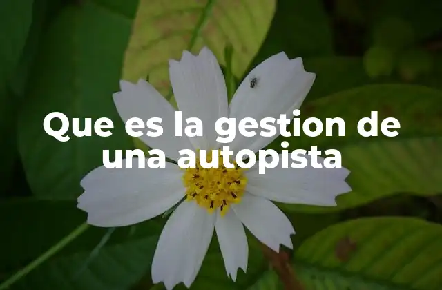 Que es la Gestion de una Autopista