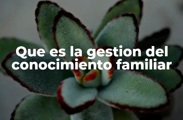 Que es la Gestion Del Conocimiento Familiar 2 La importancia del saber compartido en el entorno familiar