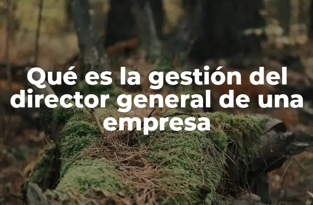 Qué es la Gestión Del Director General de una Empresa