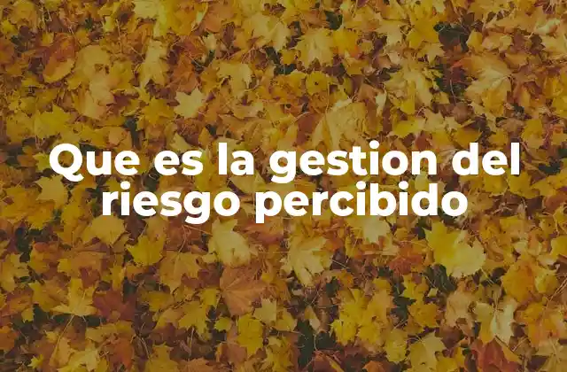 Que es la Gestion Del Riesgo Percibido