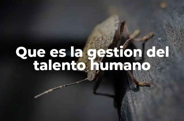 Que es la Gestion Del Talento Humano