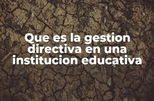 Que es la Gestion Directiva en una Institucion Educativa