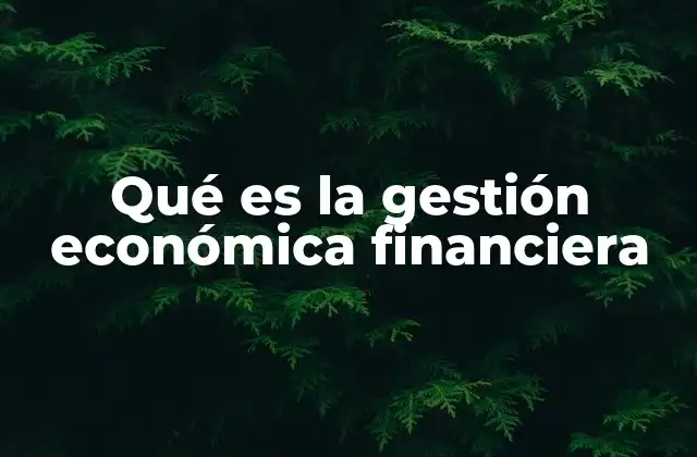 Qué es la Gestión Económica Financiera