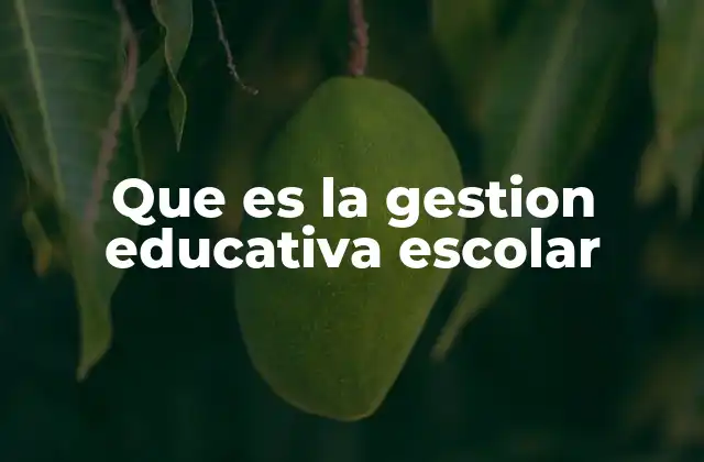 Que es la Gestion Educativa Escolar