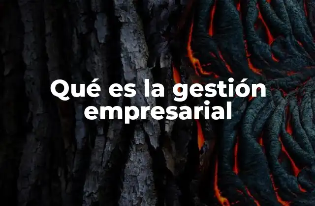 Qué es la Gestión Empresarial