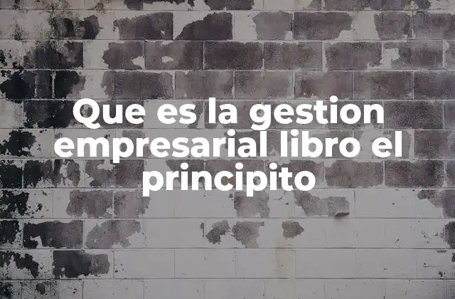 Que es la Gestion Empresarial Libro el Principito