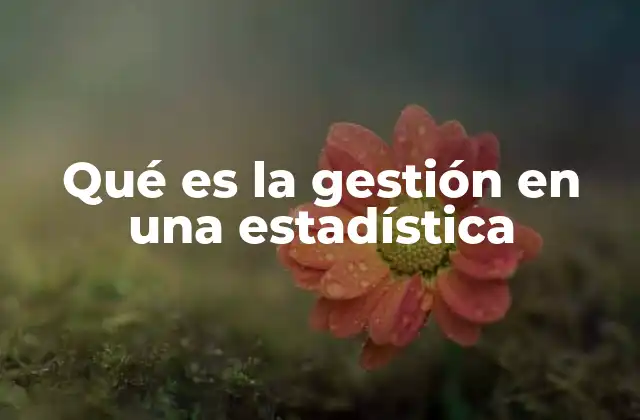 Qué es la Gestión en una Estadística