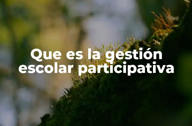 El papel de la comunidad en la gestión escolar