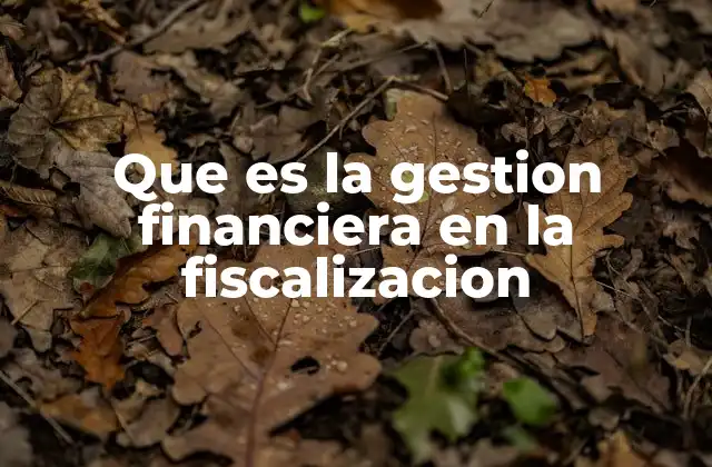 El papel de la gestión financiera en el control estatal