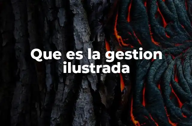 Que es la Gestion Ilustrada