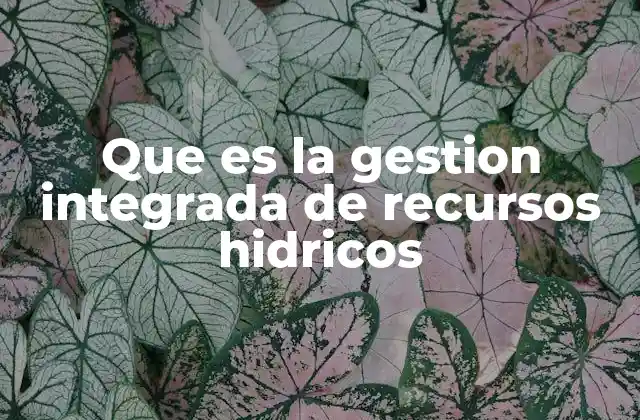 Que es la Gestion Integrada de Recursos Hidricos