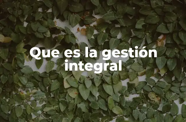 Que es la Gestión Integral 2 La importancia de un enfoque unificado para el desarrollo sostenible