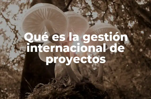 Qué es la Gestión Internacional de Proyectos