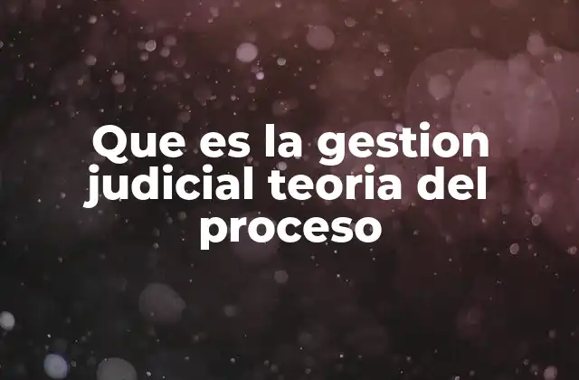 Que es la Gestion Judicial Teoria Del Proceso