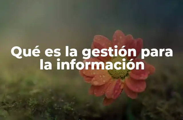 Qué es la Gestión para la Información