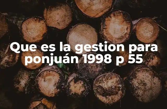 Que es la Gestion para Ponjuán 1998 P 55